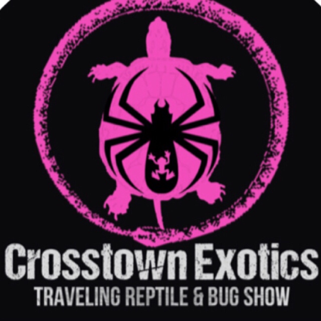Crosstown Exotics:  Traveling Reptile & Bug Show